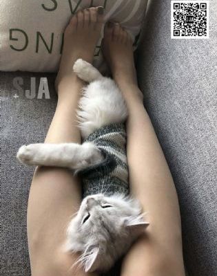 狠狠色综合av夜色撩人_国产剧完整视频观看